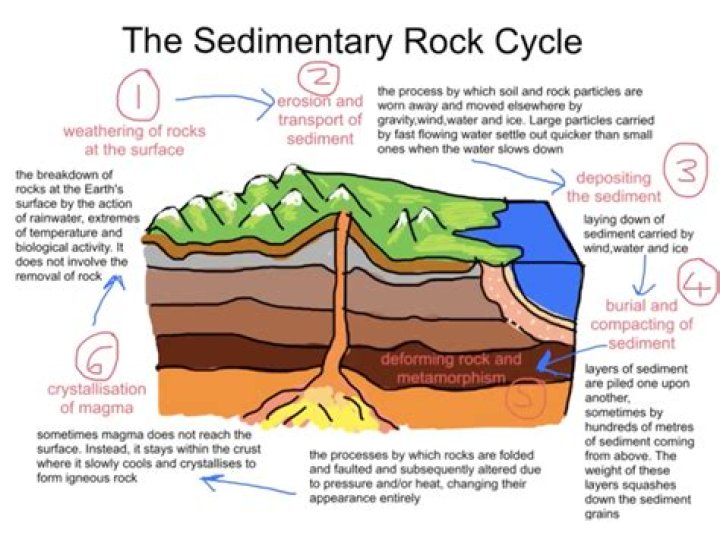 Exploring The Financial Journey Of A Rock Icon